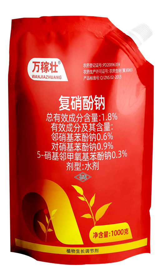 農(nóng)達萬稼壯在水稻返青上的效果(圖1)