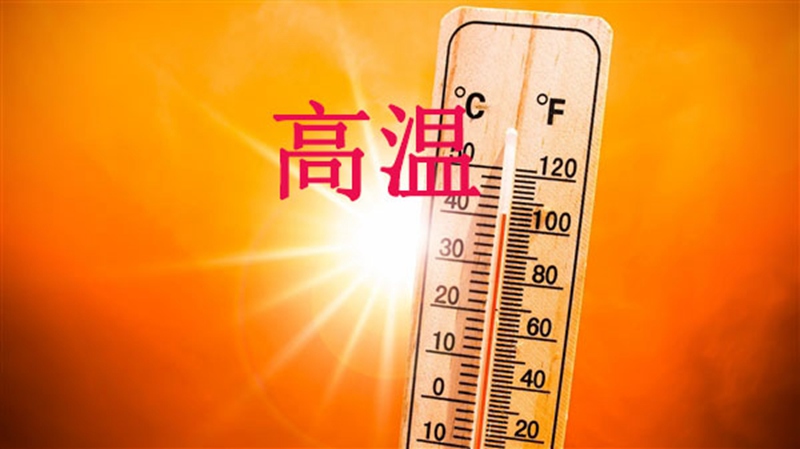 高溫天,使用農(nóng)藥注意事項(圖1) 高溫天,使用農(nóng)藥注意事項(圖1)