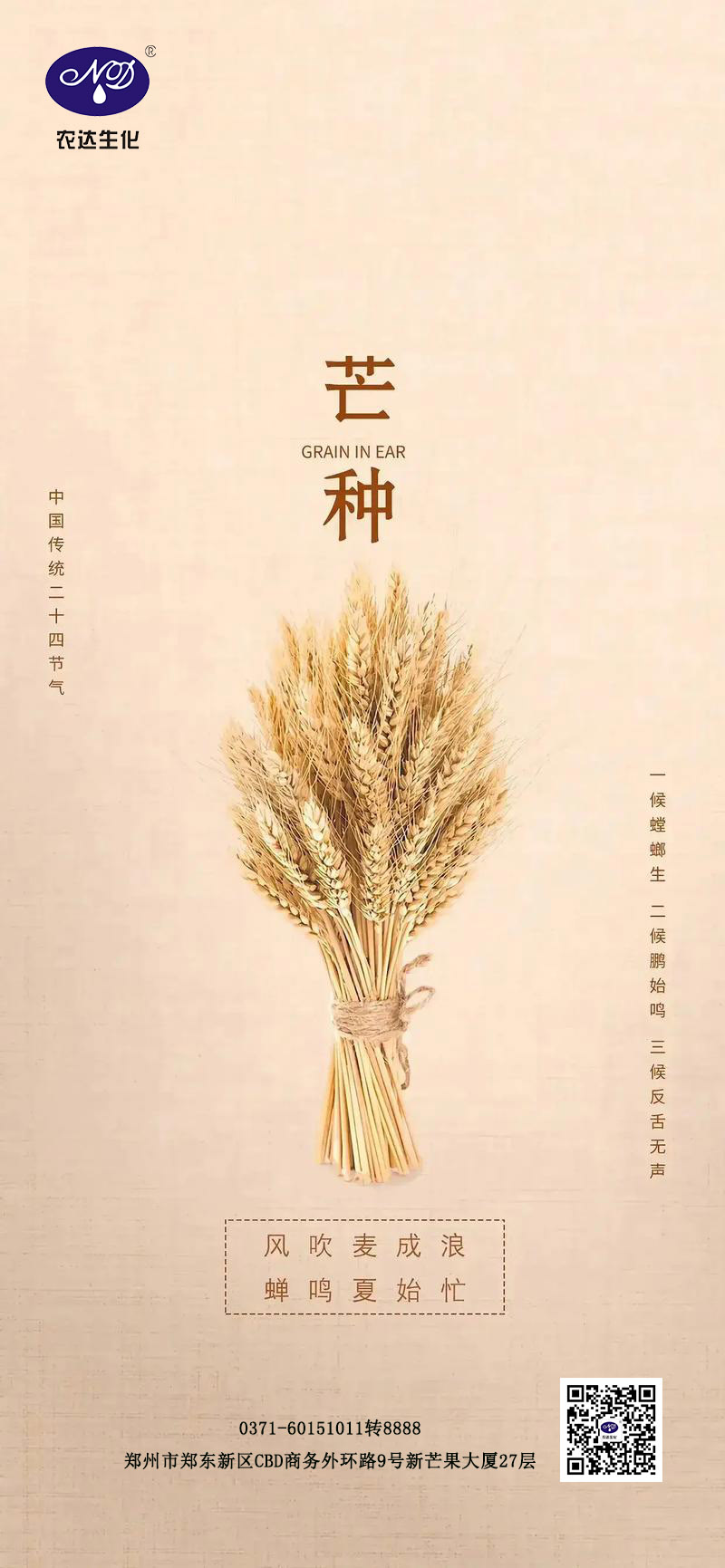 芒種節(jié)氣(圖1)