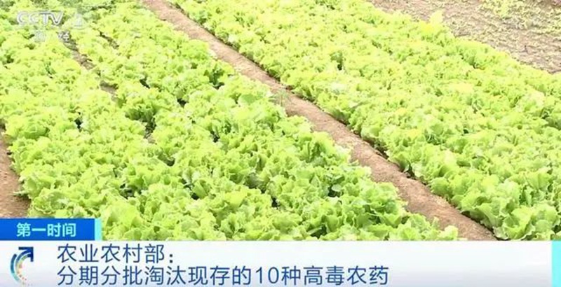 農(nóng)業(yè)農(nóng)村部：3年內(nèi)淘汰這10種高毒農(nóng)藥， 重點(diǎn)治理豇豆、韭菜、芹菜農(nóng)殘超標(biāo)(圖1)