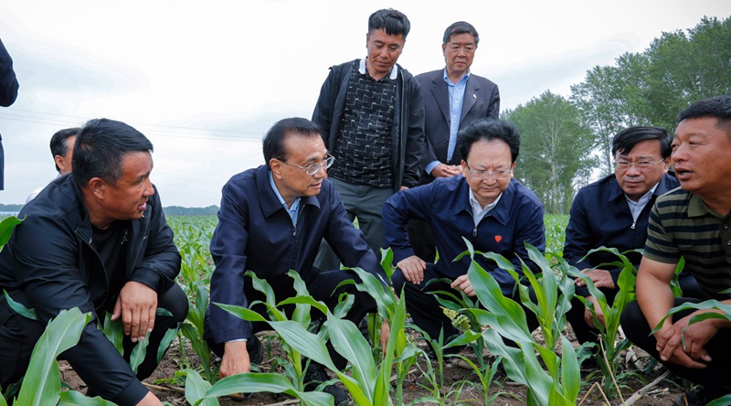 重磅！農(nóng)資上漲不要怕，補貼來了！(圖1)