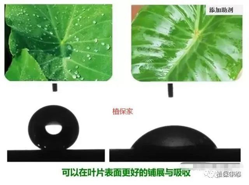 農(nóng)藥成分和含量一模一樣，為啥效果差別那么大？(圖2)